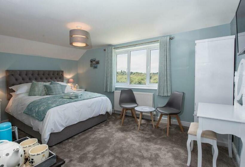 带大床的标准间, Tyn Llain B&b
