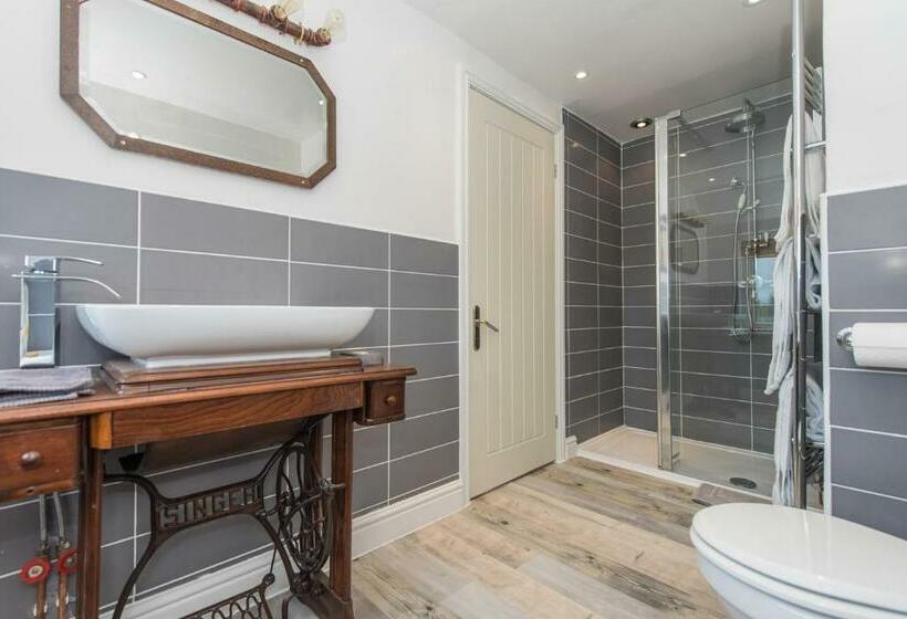 带大床的标准间, Tyn Llain B&b