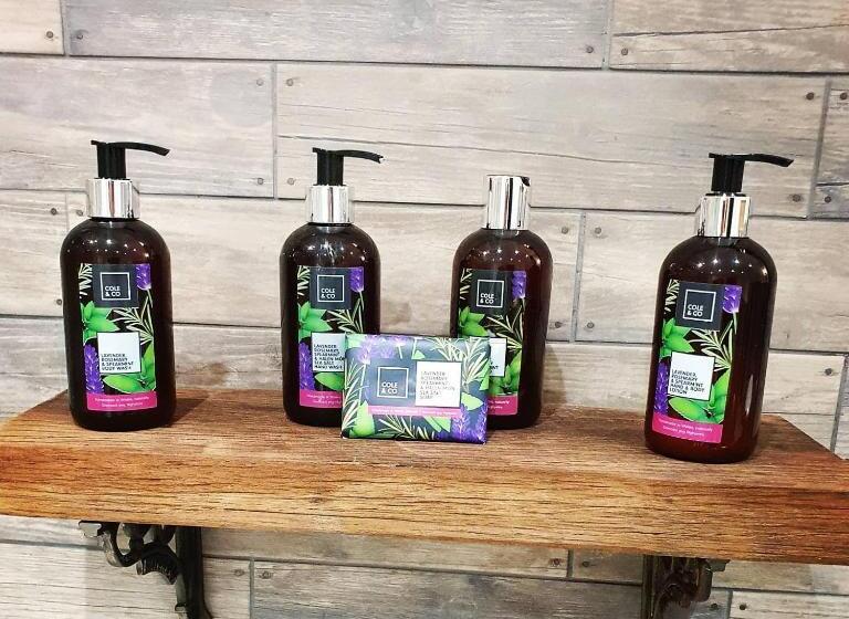 带大床的标准间, Tyn Llain B&b