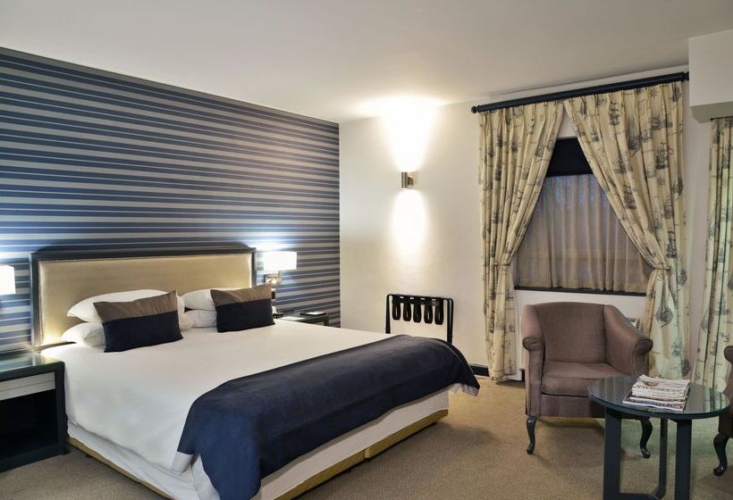 Standard Studio King Bed