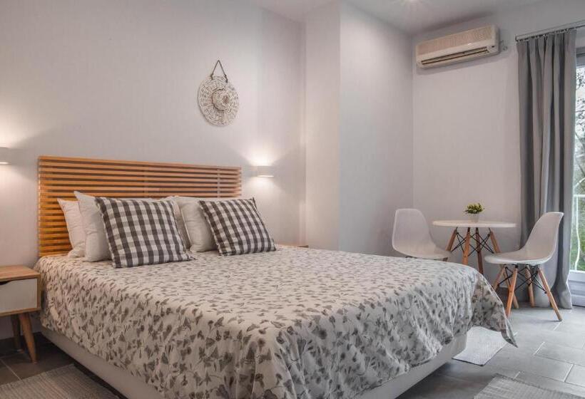 豪华房间, Andros Blue