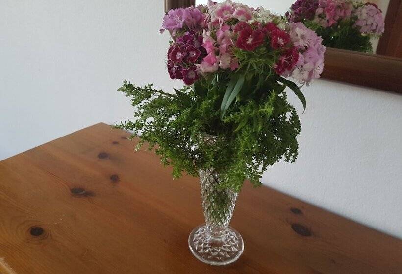 Студия Стандарт Двуспальная Кровать, Georgia Old Town Apartments