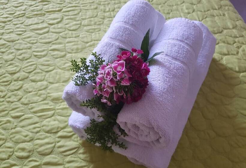 Студия Стандарт Двуспальная Кровать, Georgia Old Town Apartments