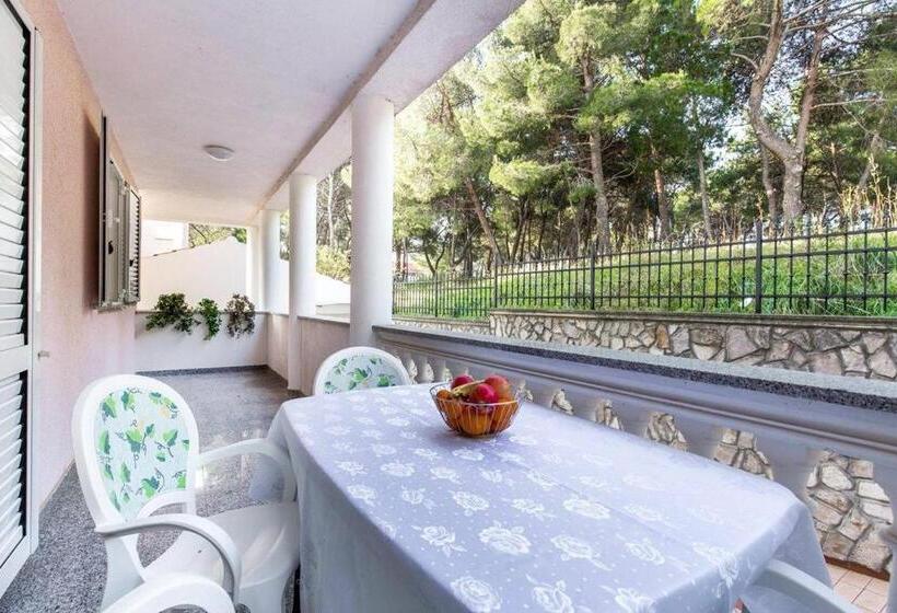 آپارتمان 1 خوابه, Apartments Villa Ori