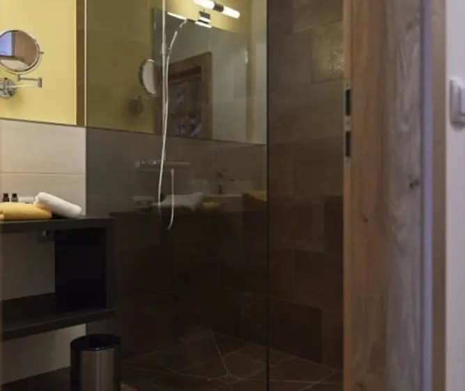 ドゥプレックスルーム, Berghotel Birkenhof Gmbh