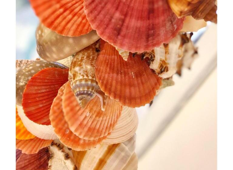 اتاق استاندارد, Casa Luz   Fernando De Noronha