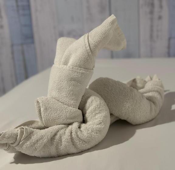 Standart Oda, Pousada Isabel Araújo