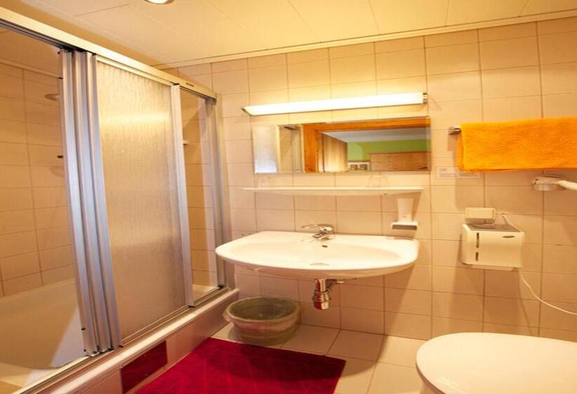 Номер Стандарт Индивидуальный с Балконом, Pension Alpenrose