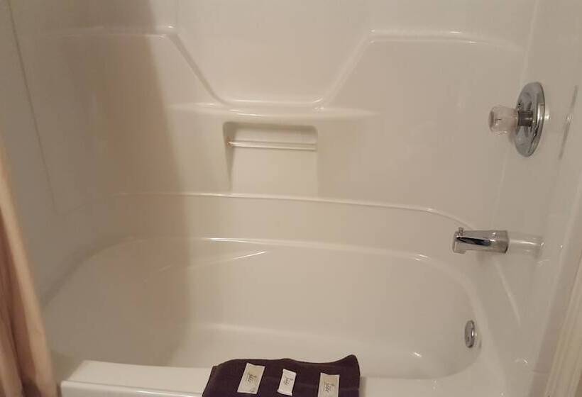 غرفه قياسيه سريرين مزدوجين, Aspen Motor Inn