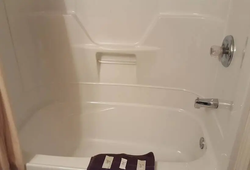 Standard-huone 2 Parivuodetta, Aspen Motor Inn