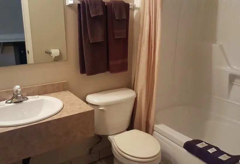 Standard-huone 2 Parivuodetta, Aspen Motor Inn