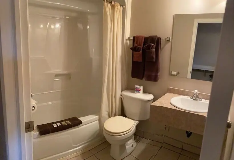 Standard-huone 2 Parivuodetta, Aspen Motor Inn