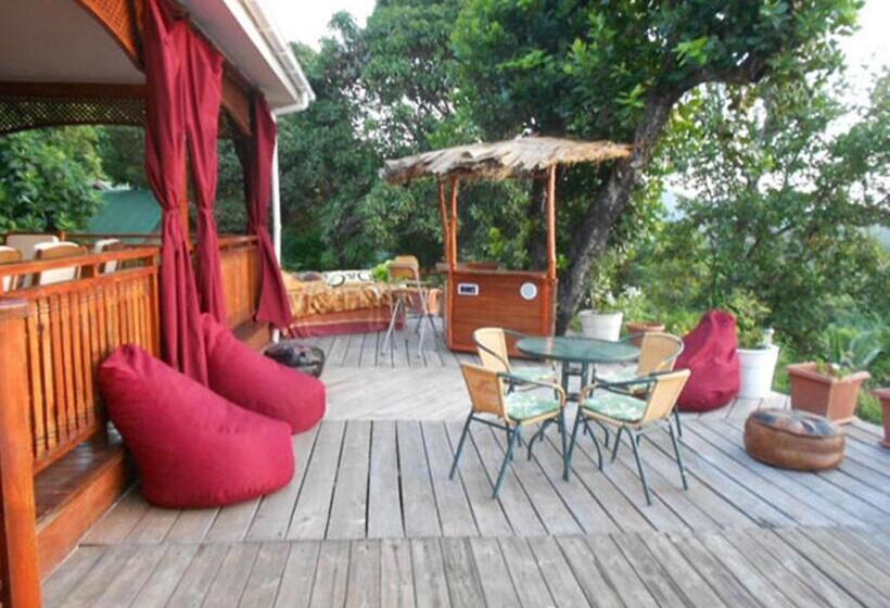 خانه 3 خوابه, Kaz Ladouceur