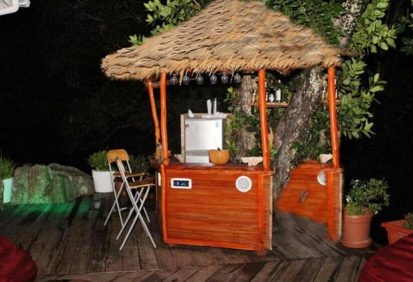 خانه 3 خوابه, Kaz Ladouceur