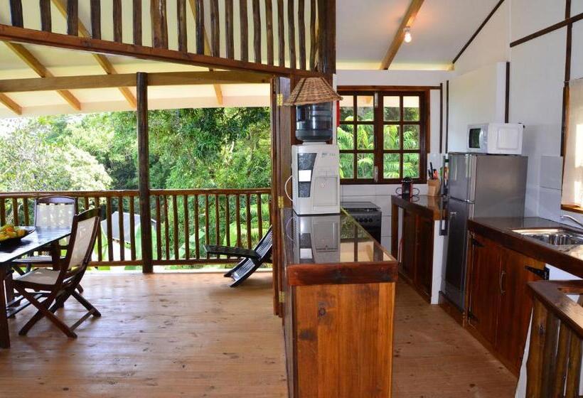 بانگلوی استاندارد, Kaz Ladouceur