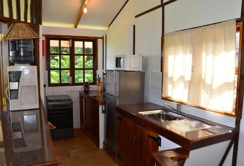 بانگلوی استاندارد, Kaz Ladouceur