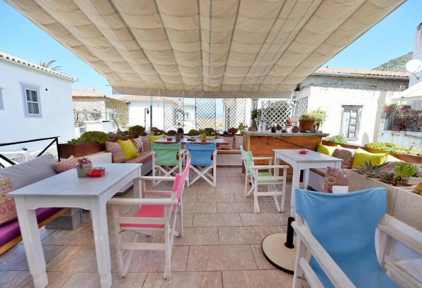 コンフォートルーム, Mastoris Mansion