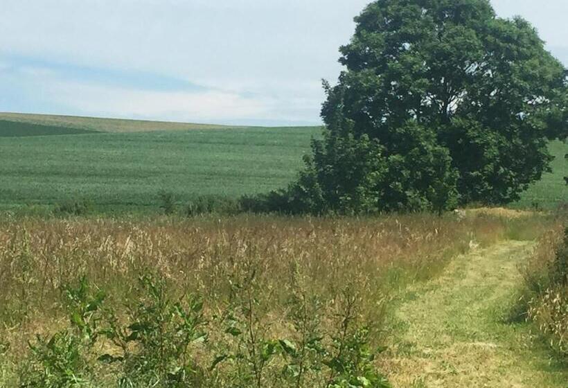 Standard Tent, Camønogaarden Et B&b, Kursus Center Og Refugie På østmøn
