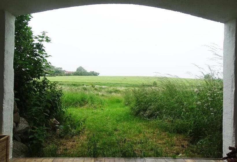 Standard Tent, Camønogaarden Et B&b, Kursus Center Og Refugie På østmøn