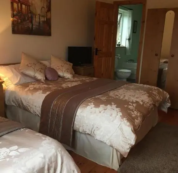 Standard Kolmen Hengen Huone, Carrick House B&b