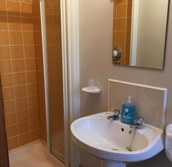 غرفة قياسية, Carrick House B&b