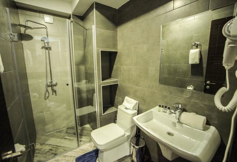 اتاق استاندارد با بالکن, Borjomi Underwood