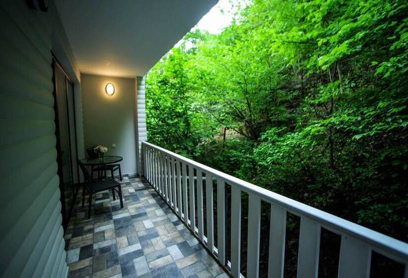 اتاق استاندارد با بالکن, Borjomi Underwood