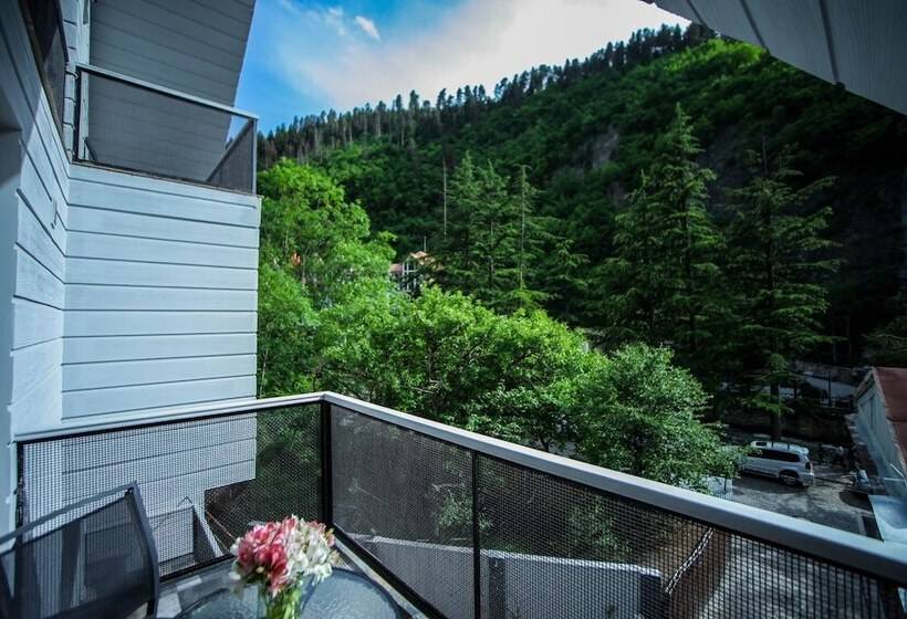 اتاق اکونومی, Borjomi Underwood