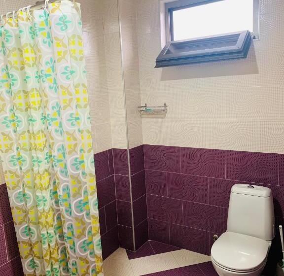 اتاق راحتی, Amigo Ii