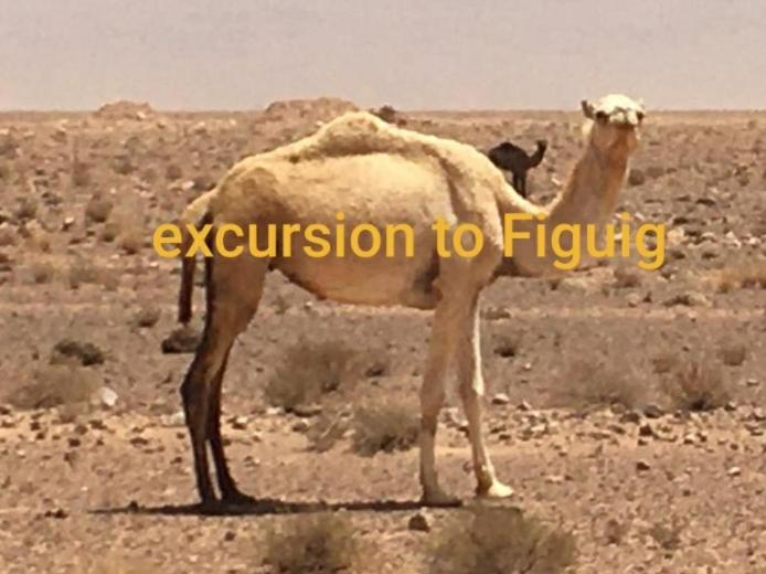 غرفة قياسية, Lahlou Riad Cafeteria