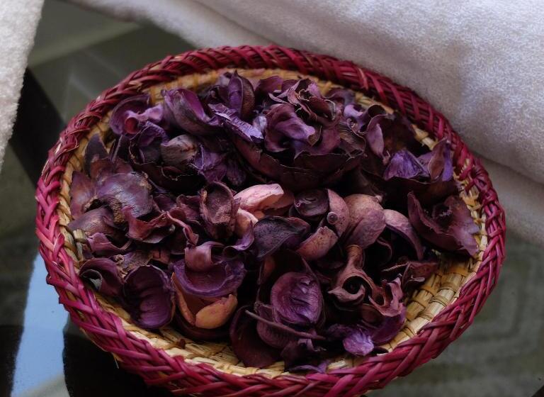 豪华房间, Cine House