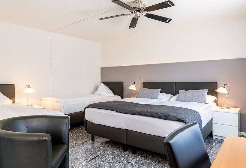 اتاق استاندارد سه نفره, Sursee