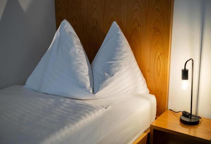 غرفة قياسية فردية, Merian Basel Self Check In