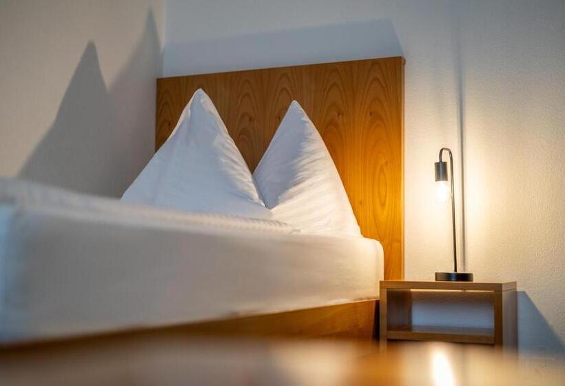 غرفة قياسية فردية, Merian Basel Self Check In