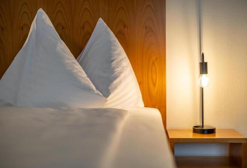 غرفة سوبيريور فردية, Merian Basel Self Check In