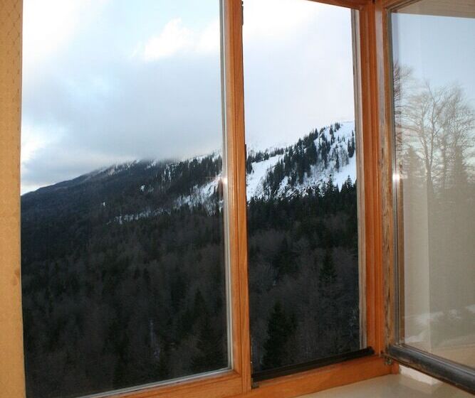 اتاق عادی, Bat Hotel Bistrica