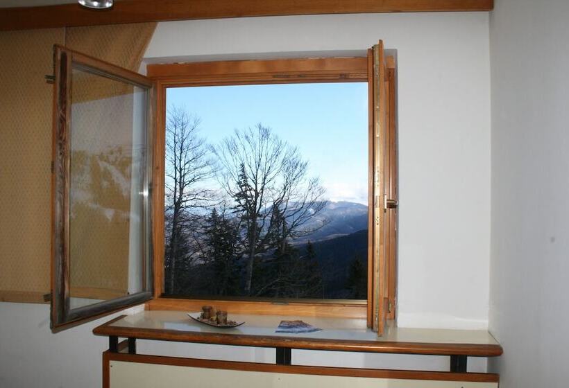 اتاق عادی, Bat Hotel Bistrica