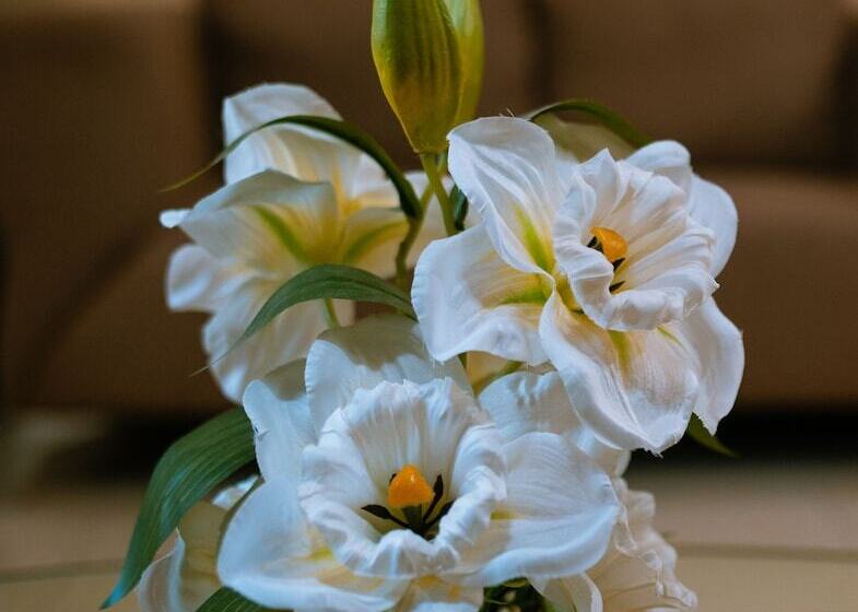 آپارتمان کلاسیک 1 خوابه, Crismon