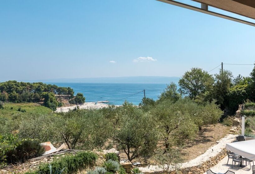 سوییت سوپریور, Pax