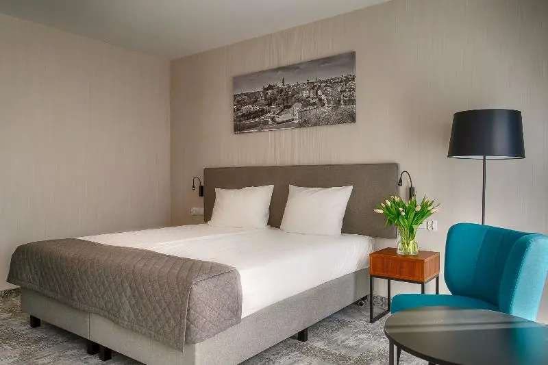 Standard Yhden Hengen Huone, Focus Hotel Premium Lublin