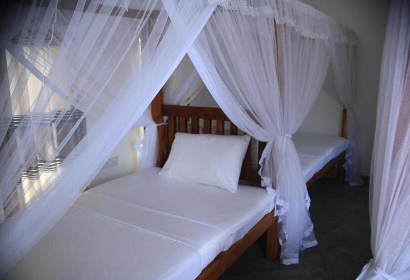 이코노미 룸, Samaraana