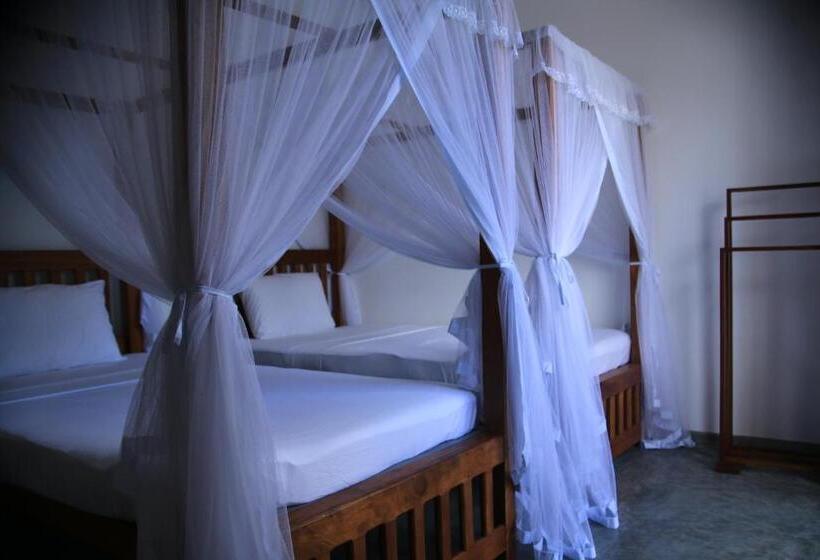 이코노미 트리플 룸, Samaraana