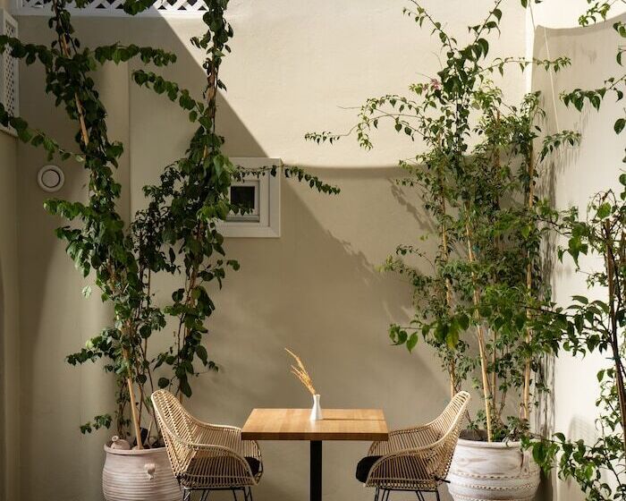 スタンダードインサイドビュールーム, Edem Boutique