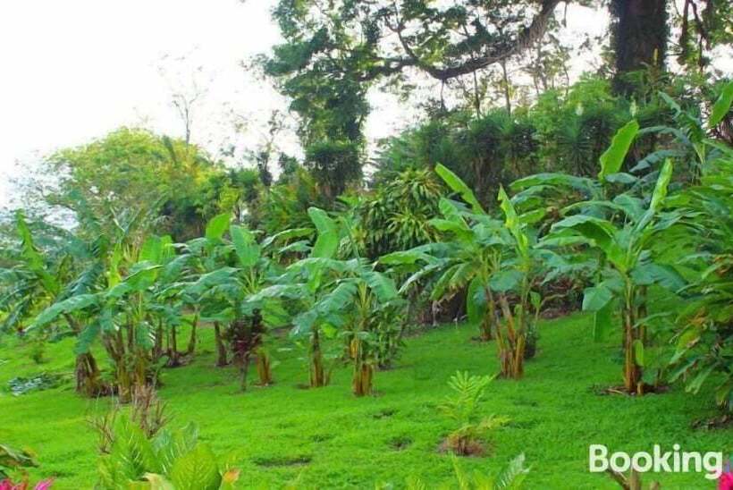 غرفة قياسية سرير مزدوج, Ceiba Tree Lodge