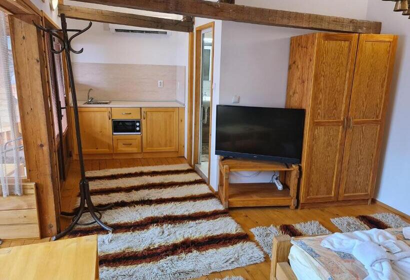 סטודיו סטנדרטי נוף לגינה, Mamin Kolio