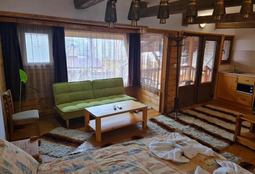 סטודיו סטנדרטי נוף לגינה, Mamin Kolio