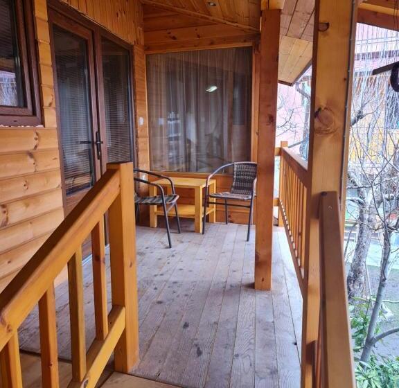 סטודיו סטנדרטי נוף לגינה, Mamin Kolio