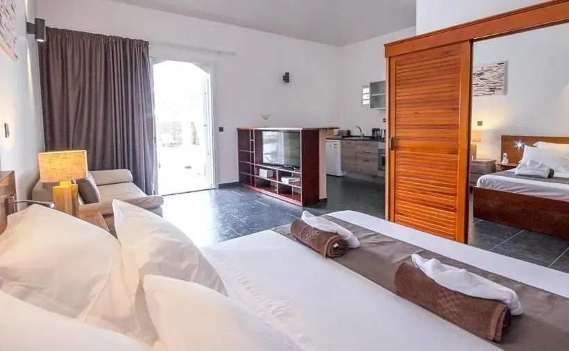 استودیو استاندارد با چشمانداز استخر, Villa Clémence