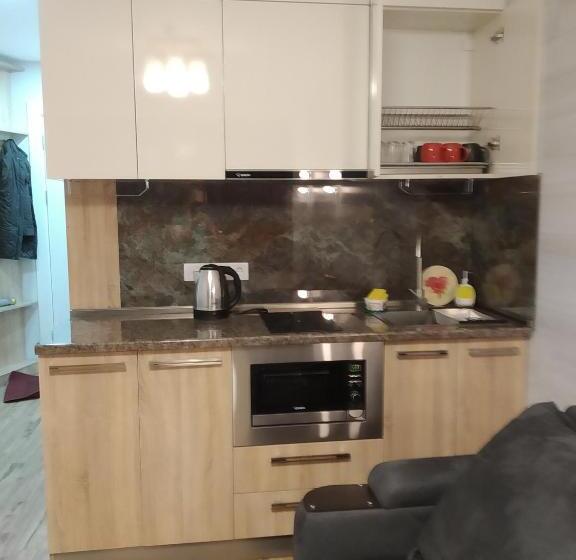 اتاق خانوادگی با چشمانداز کوه, New Gudauri Loft1