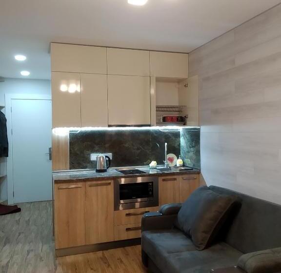 اتاق خانوادگی با چشمانداز کوه, New Gudauri Loft1